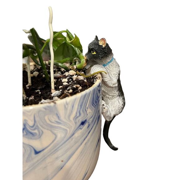 Black & White with Blue Collar Adorable Kitty Cat Plant Pot Hanger/Figurine - Picture 3 of 5